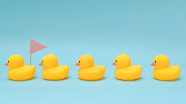 data ducks