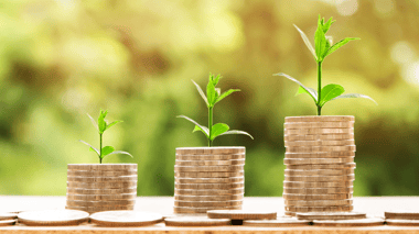 ROI money plant